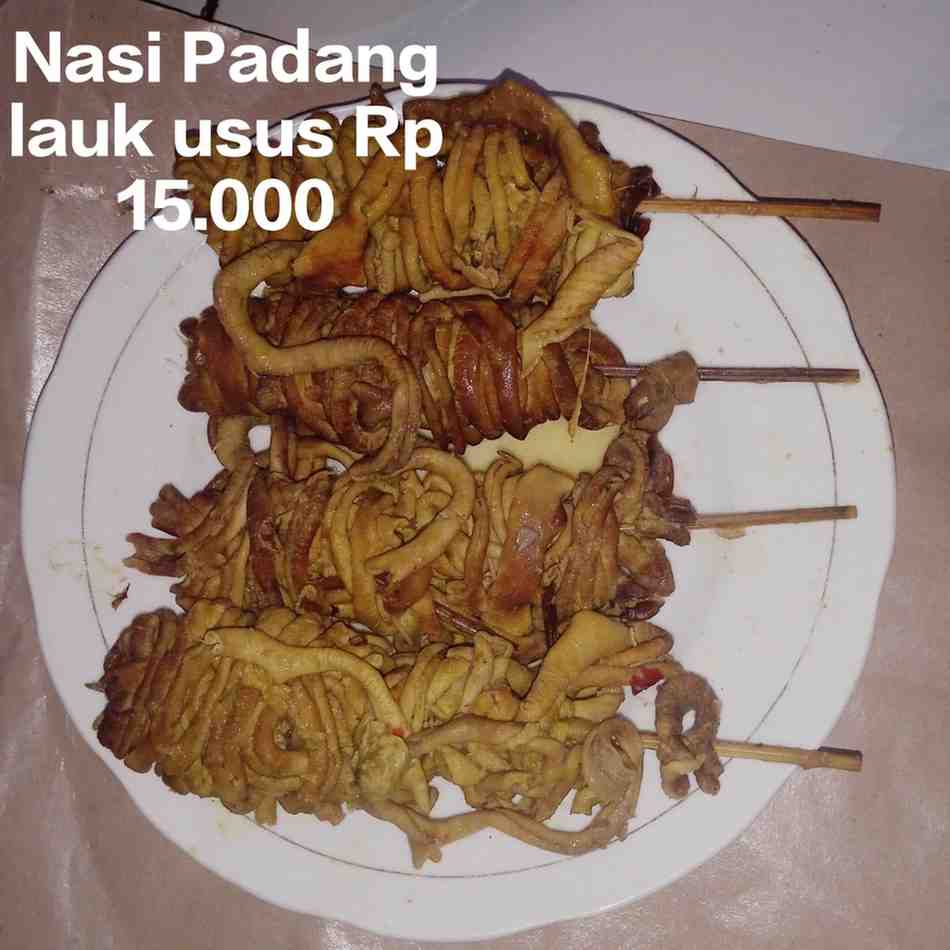 Jual Nasi Padang Lauk Usus Murah