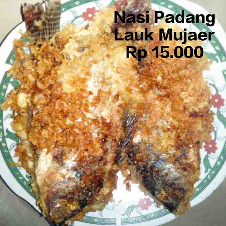 Jual Nasi Padang Lauk Mujaer Murah